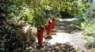 Bhikkhunis-Forest-Pindpata