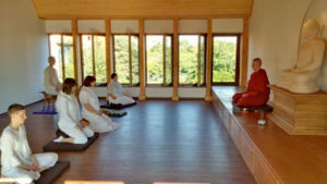 Společná meditace - joint meditation