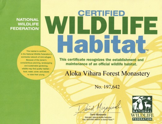 Scan11042016-521x400