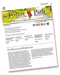 The_Forest_Path_Issue_2-1